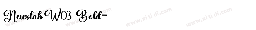 NewslabW03 Bold字体转换